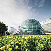 KING POWER COMPLEX (DUTY-FREE MALL RENOVATION)